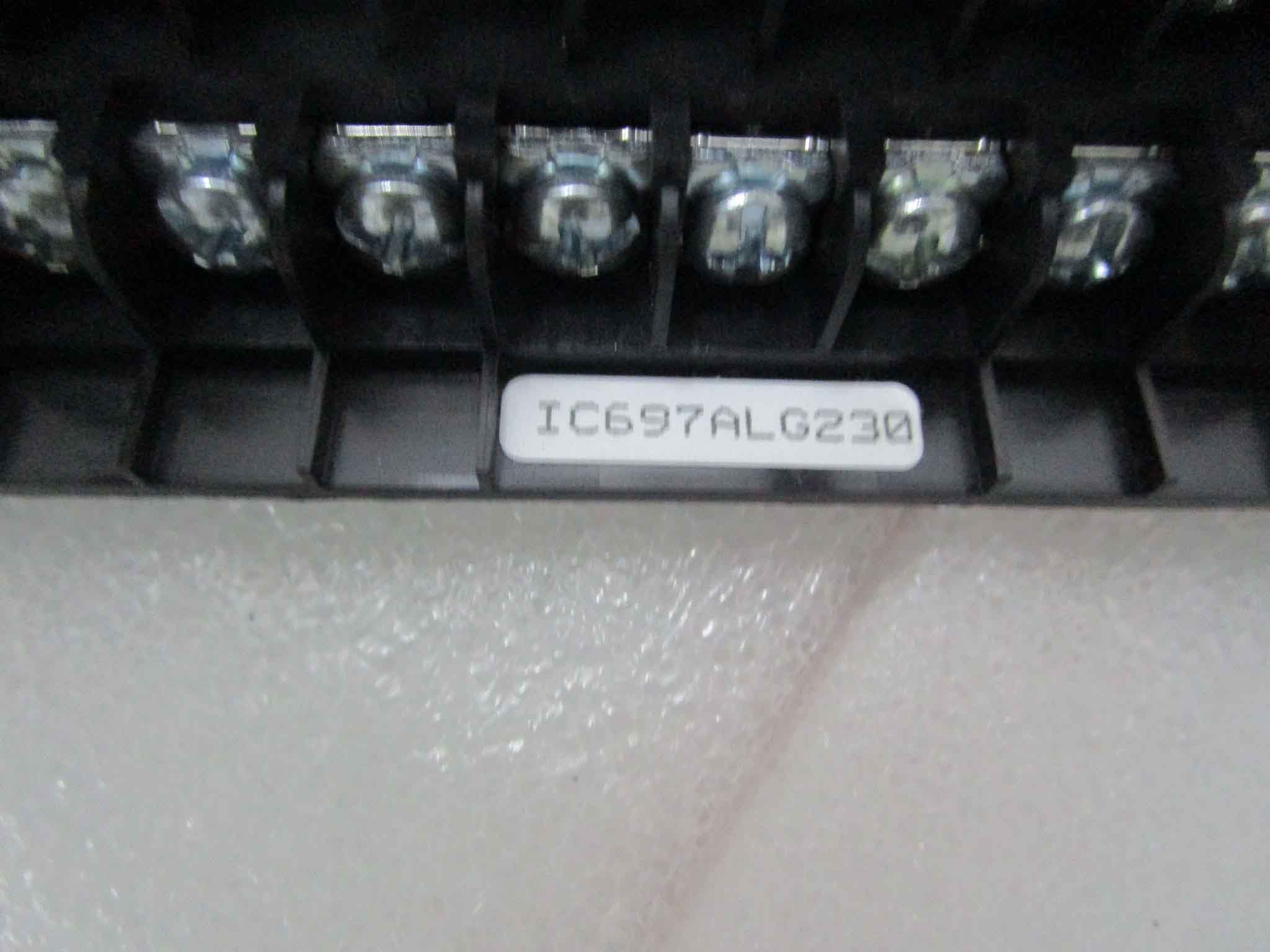 IC693ALG221/IC693MDL930