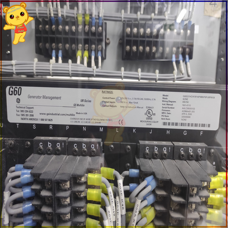 GE G60-G01-HCH-F8F-H6P-M8H-P6P-U6P-WXX